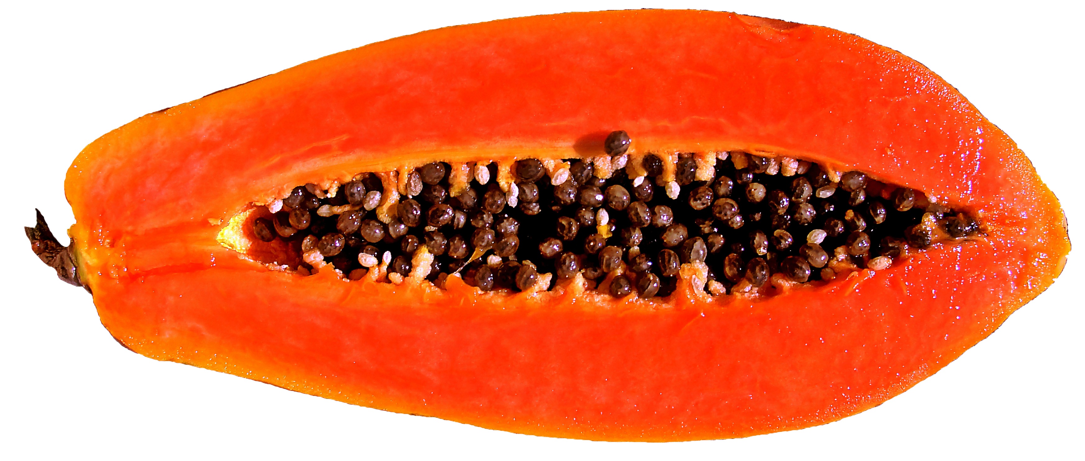 Papaya Sea-Moss Smoothie